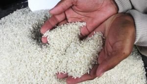 Viral Beras 5 Kg Tak Sesuai Takaran? Ini Janji Tegas Mendag untuk Tindak Lanjut