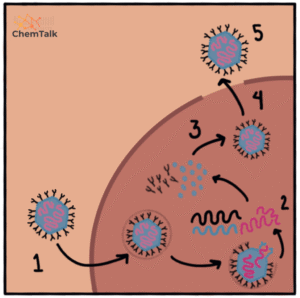 Membongkar Fenomena Video Viral: Lebih dari Sekadar Hiburan Sesaat