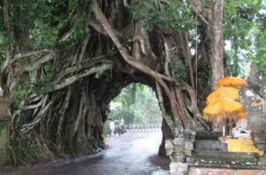 Pulau Dewata: Mengapa Bali Tetap Jadi Primadona Destinasi Wisata?