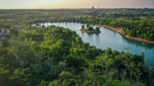 Kalimantan dan Energi Terbarukan: Masa Depan yang Ramah Lingkungan