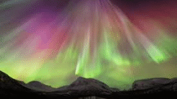 Tromsø Aurora Borealis: Petualangan Magis yang Tidak Boleh Dilewatkan