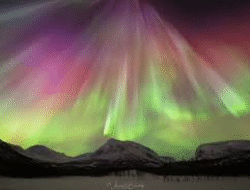 Tromsø Aurora Borealis: Petualangan Magis yang Tidak Boleh Dilewatkan