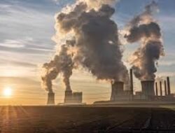 Dampak Kebijakan Pajak Karbon Terhadap Dinamika Politik Antara Pemerintah dan Pelaku Industri Besar